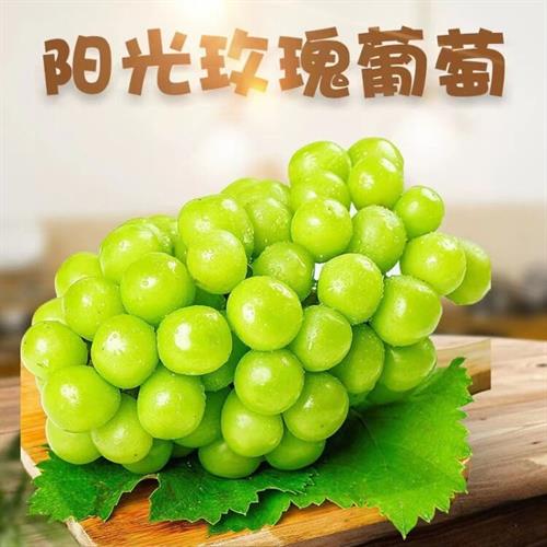 阳光晴王无籽翡翠葡萄  5斤装