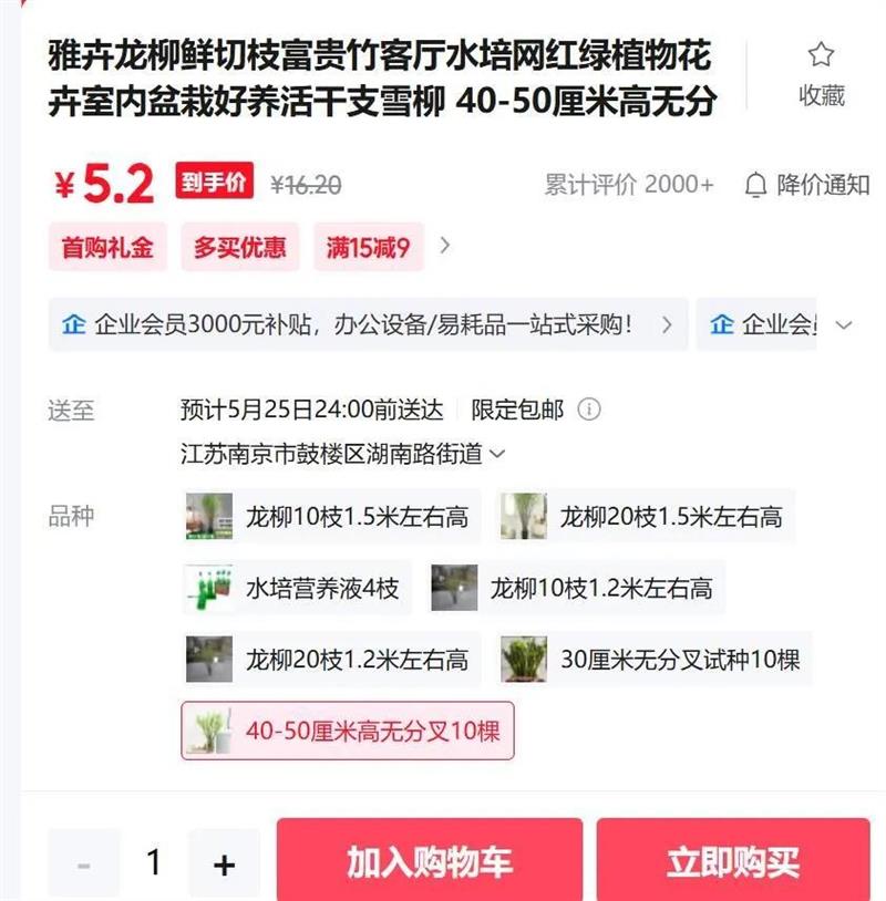 Ż֦ˮֲﻨԺ֧ѩ 40-50׸޷ֲ10Ż֤