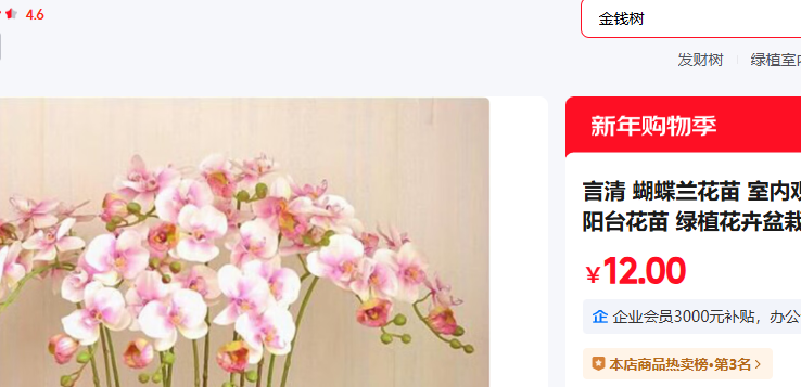 ���� �󸻹������ ͸��ԭ�� ԭ���Ż�֤��