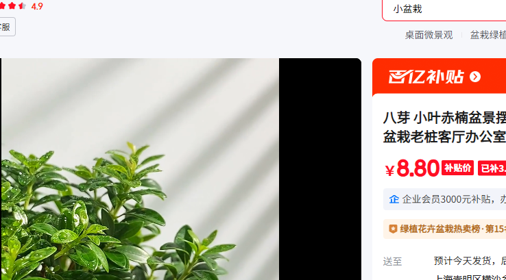 ��ѿ �������������ɰ���� ̦޺ �������Ż�֤��