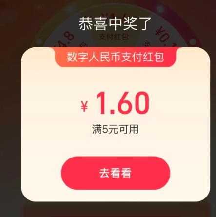 ֧���� ���ҽڣ�ÿ�ճ���������Һ��  ʵ��1.60Ԫ��ÿ�տɳ飩