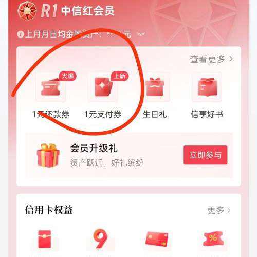 ����app ���Ա ȥ��֧��ȯ�ͻ���ȯ ֧��ȯ�򻹿�ȯ