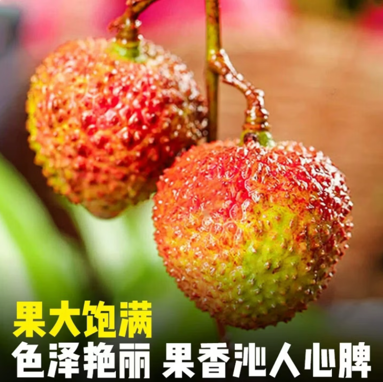 ��տ��������Ц��֦ ����4.5���й�16g  39.99Ԫ