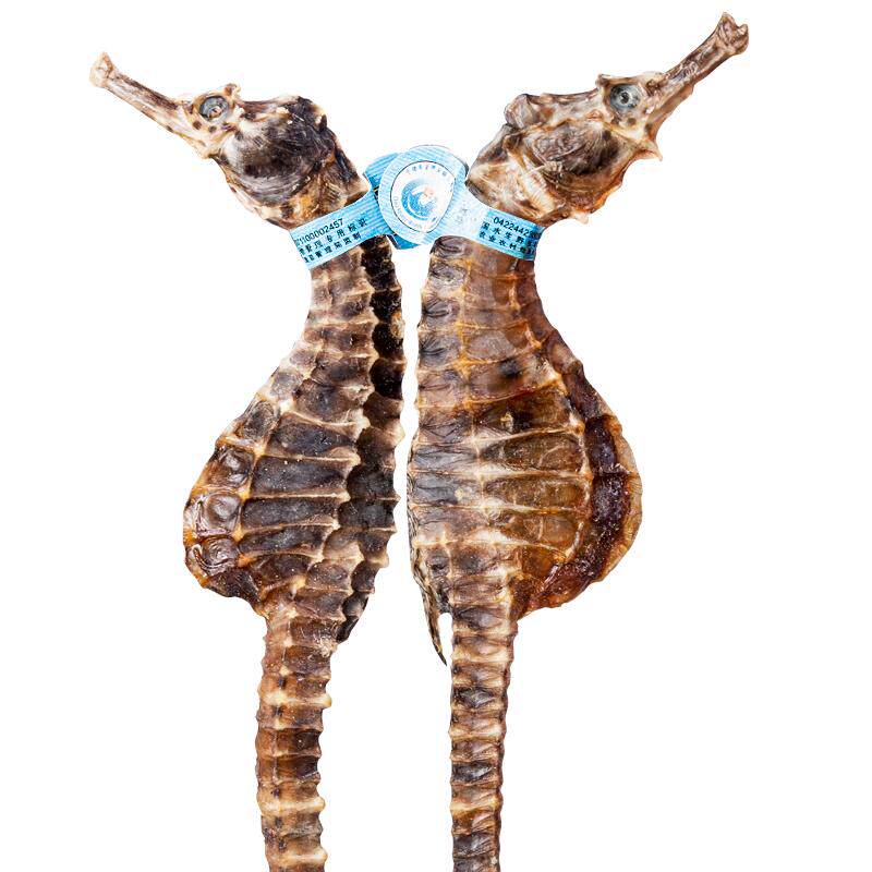 ��������Ϲ�˵����������� ���������ڴܸ��ӵ��к����ĸ�����Ĳ����ģ��㶫����Ȧ����������ġ������ط�������ʵ�������뺣��������