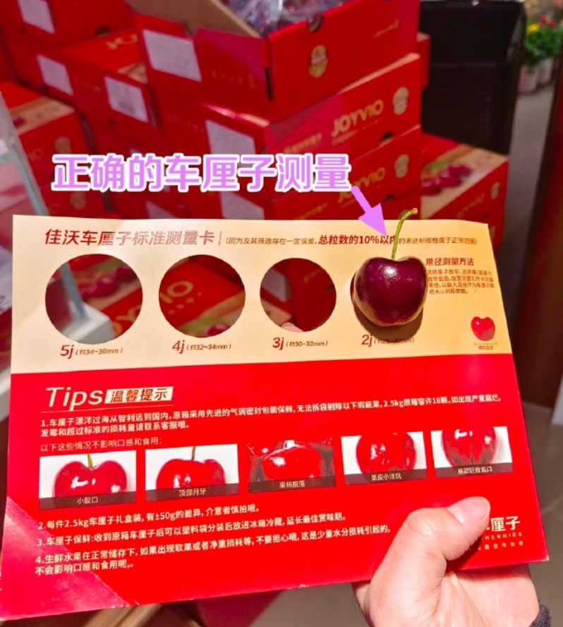 �����Ӳ�������ˮ ����������������ӣ��4J����JD/˳��-��ش��մ5kg����ˮ�������� 3��(