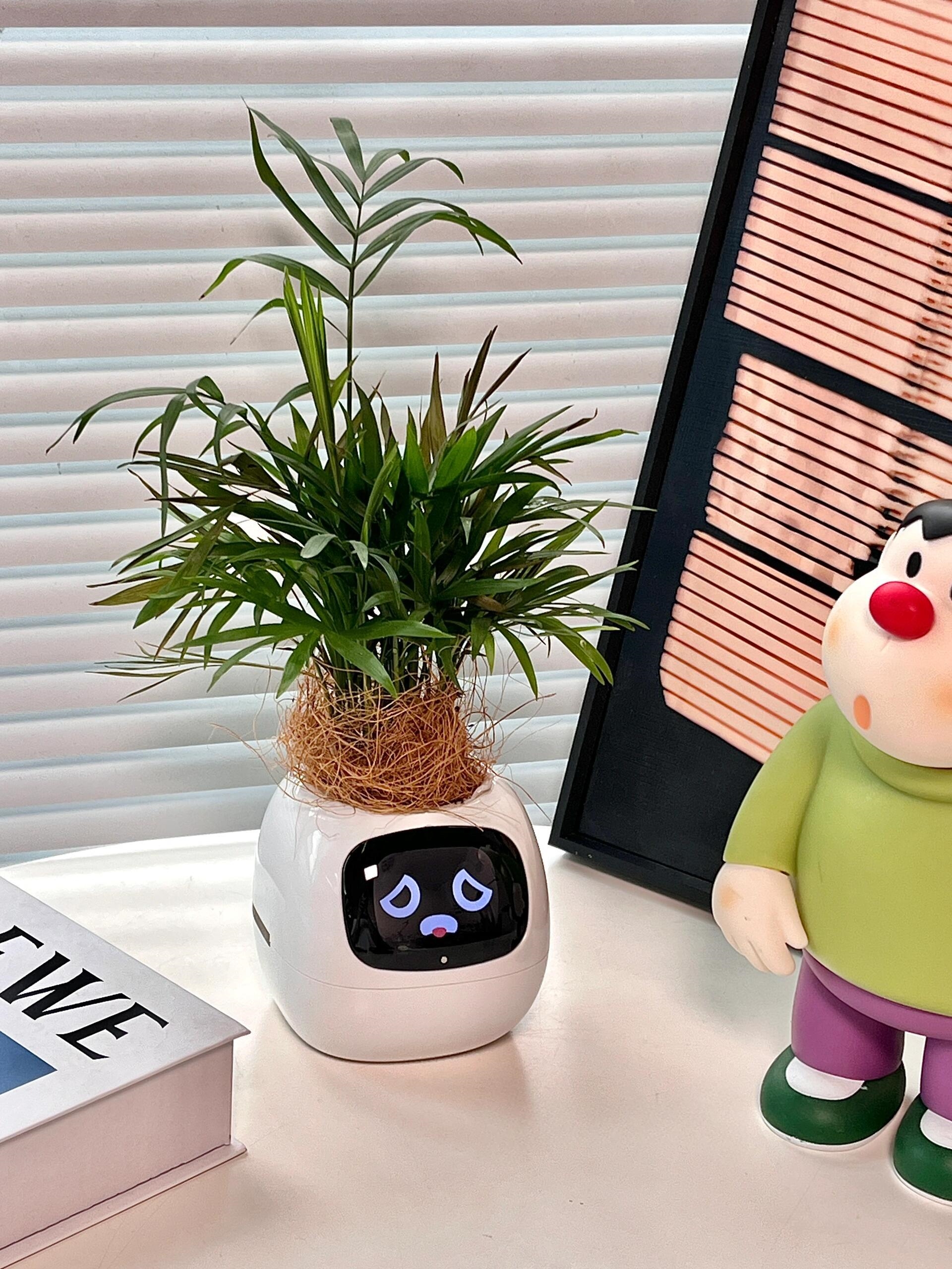 ǰеӳ еֲ èֲͨȤŻᡰĵѾҹλϵľСʵʱ鿴ֲ