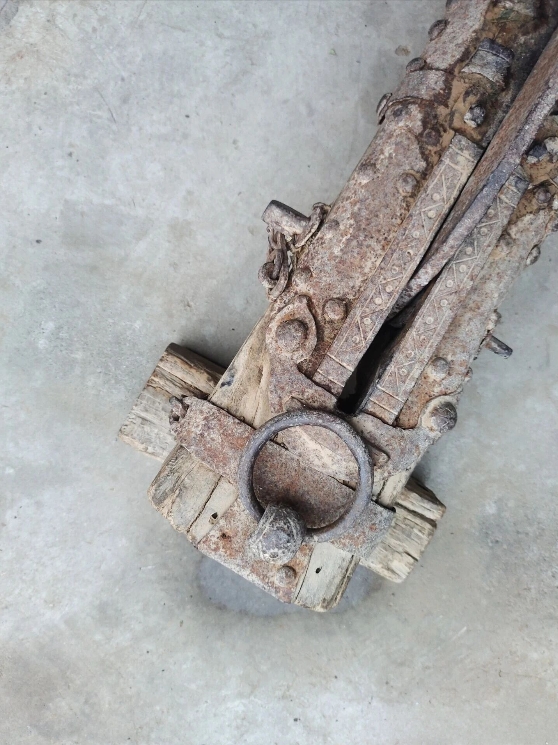 ����ϡ����ũ���������ȫ��ʶ����90������ ��������ʶ������