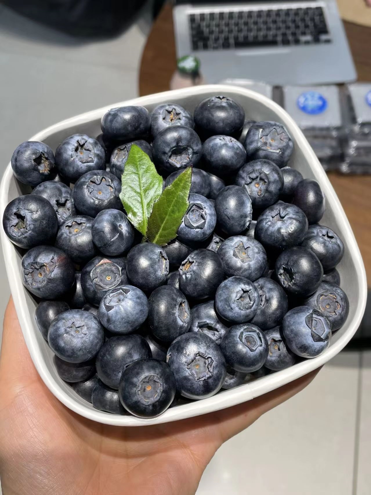 ??������ݮ�ڸ��۷��ڣ�������һ�꣡ ������˭����������������ݮ����������ƾ����������Ŀڸкʹ������ļ۸�����Ϊ����ˮ���г�������