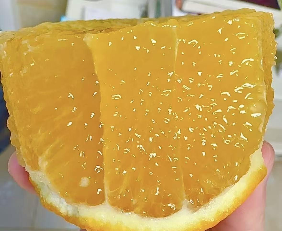 裬ٸҼһ䣡 үүҵĹȣķݶˡ ڵ˼ǣ䴨үүİ 38 Źȣ𿪿ֱ ۡ  