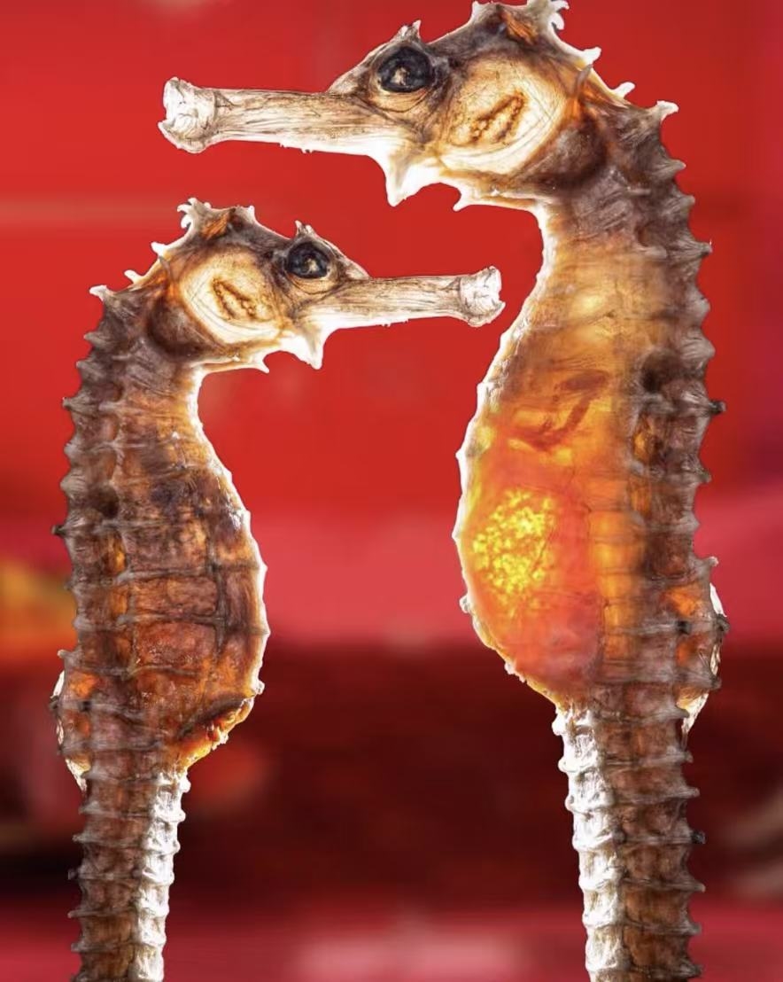 ��������Ϲ�˵����������� ���������ڴܸ��ӵ��к����ĸ�����Ĳ����ģ��㶫����Ȧ����������ġ������ط�������ʵ�������뺣��������