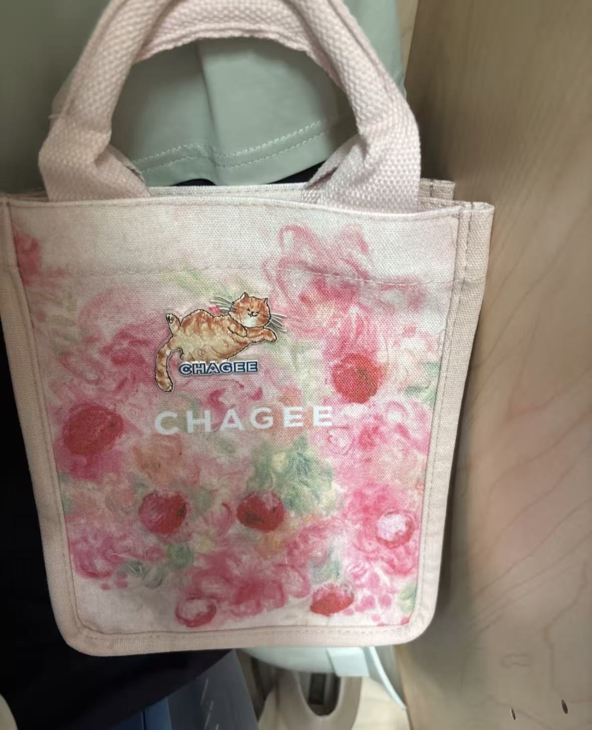 ����һĨ���� ��ʷ��� �����輧��CHAGEE������б�����������������ٴ������Яͨ������������