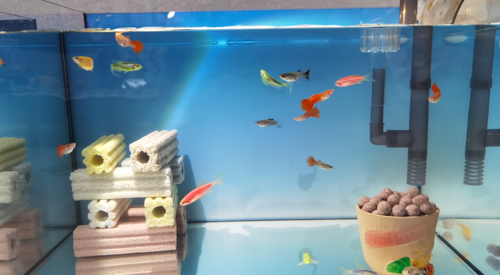 ���Լ�һƬС���� ԭ��50�ּ�26����۹���������ʳ����ʣ����Ǯ���ˮ�ݼС�50*20*23CM�ĳ����ף��Ű칫������