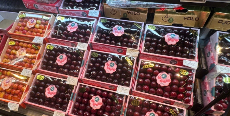 ��50��ֳ�����ӿ���й����۸����ˮ��������ȴЦ������ ������ ��Ԥ�ۡ���������Santina������XL�� 10����й���Լ24-26mm